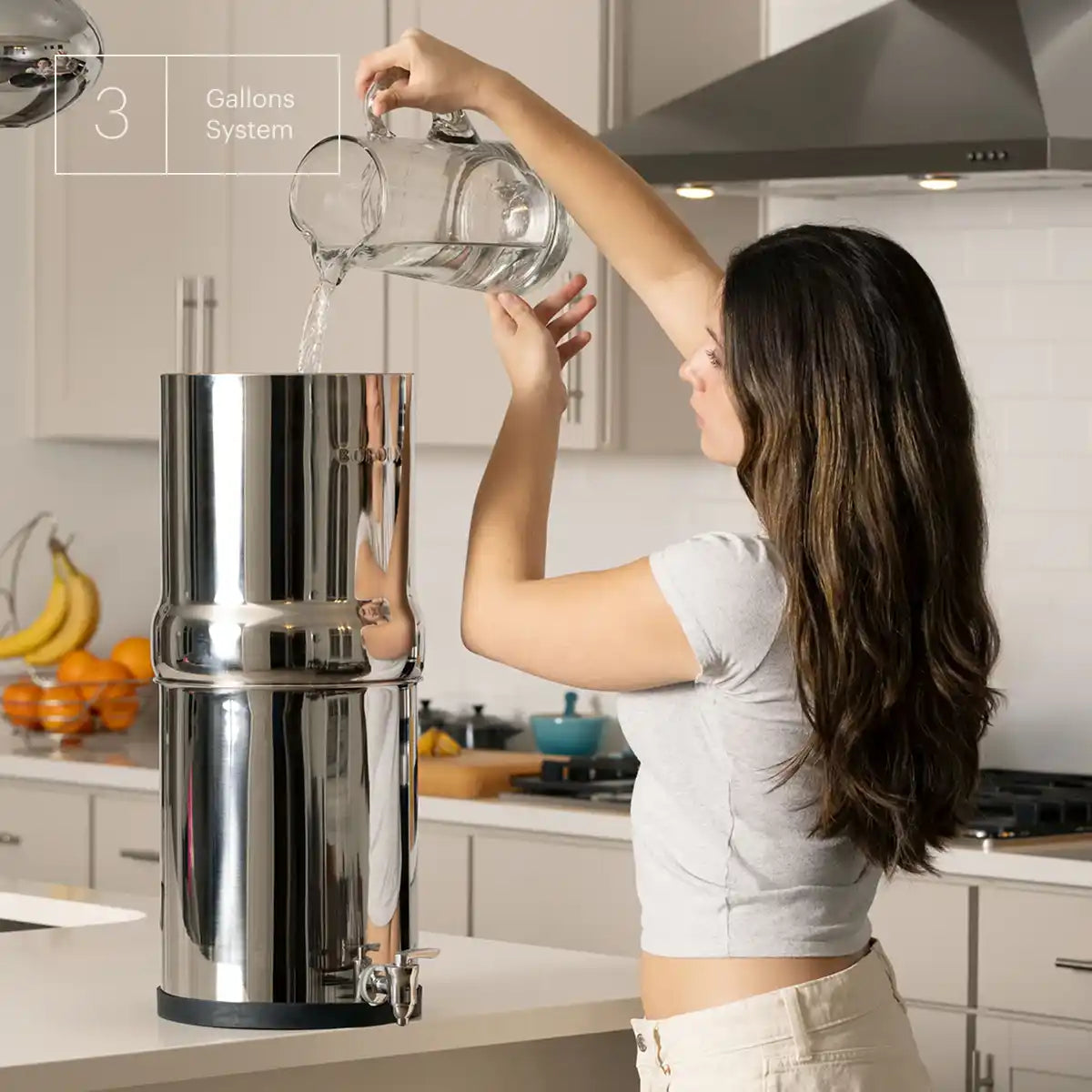 Legacy Water Filter System